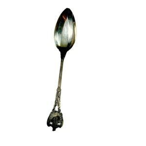 Whiting Daisy Sterling Silver Grapefruit‎ Fruit Spoon Antique 1880s Floral Art